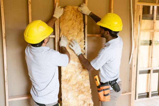 Best Insulation Removal  in Chevy Chase Heights, PA