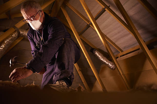 Best Insulation Inspection Services  in Chevy Chase Heights, PA